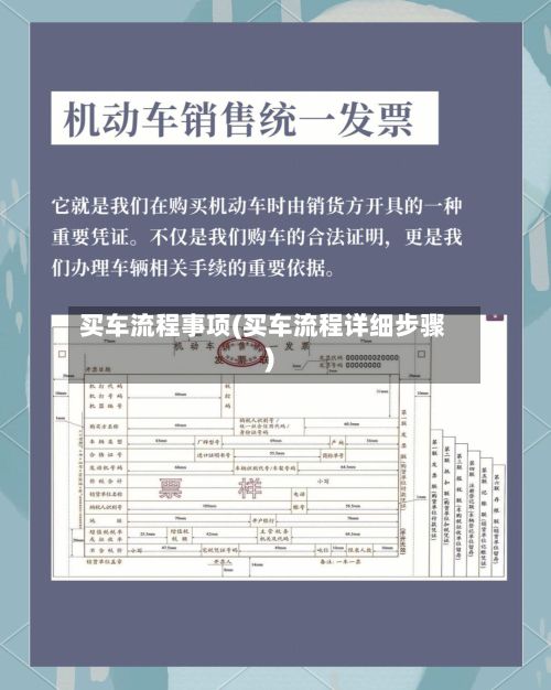买车流程事项(买车流程详细步骤)