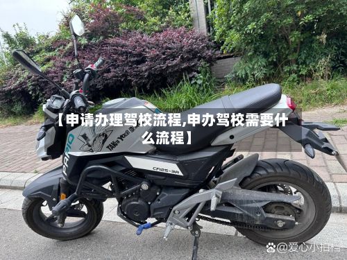 【申请办理驾校流程,申办驾校需要什么流程】