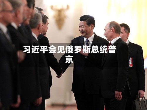 习近平会见俄罗斯总统普京