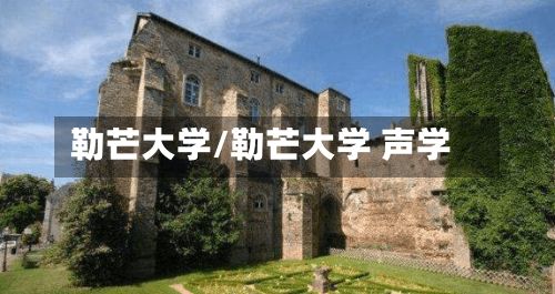勒芒大学/勒芒大学 声学