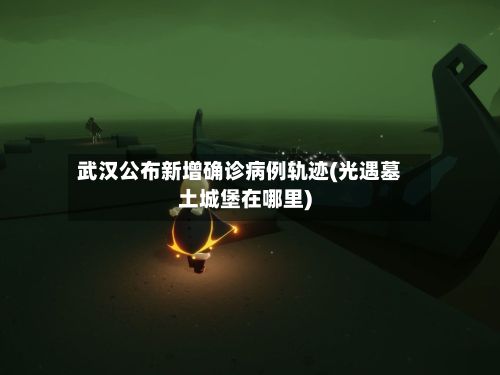 武汉公布新增确诊病例轨迹(光遇墓土城堡在哪里)