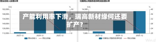 产能利用率下滑,瑞高新材缘何还要扩产?