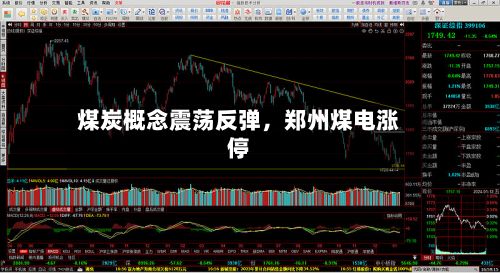 煤炭概念震荡反弹，郑州煤电涨停