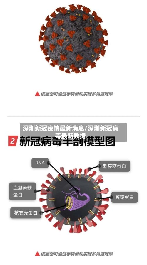 深圳新冠疫情最新消息/深圳新冠病毒最新数据