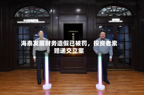 海泰发展财务造假已被罚，投资者索赔递交立案-第3张图片