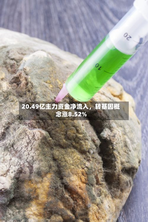 20.49亿主力资金净流入，转基因概念涨8.52%-第2张图片