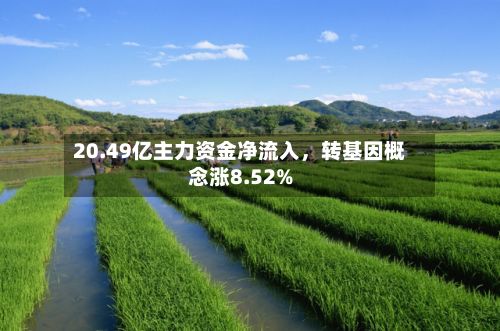 20.49亿主力资金净流入，转基因概念涨8.52%
