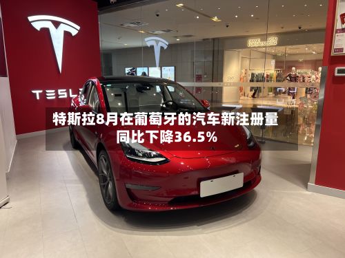 特斯拉8月在葡萄牙的汽车新注册量同比下降36.5%