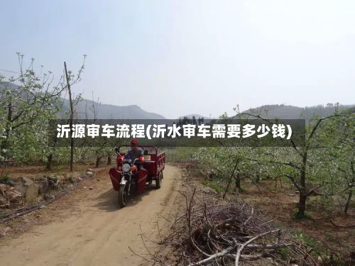 沂源审车流程(沂水审车需要多少钱)