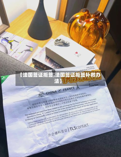 【法国签证拒签,法国签证拒签补救办法】-第2张图片