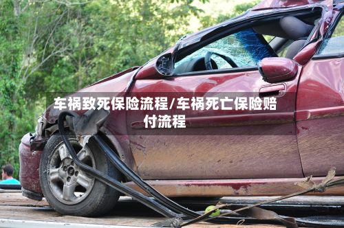 车祸致死保险流程/车祸死亡保险赔付流程