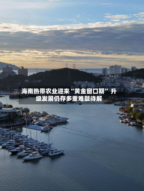 海南热带农业迎来“黄金窗口期” 升级发展仍存多重难题待解