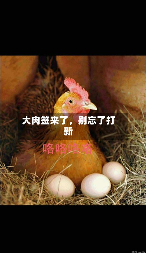 大肉签来了，别忘了打新-第3张图片