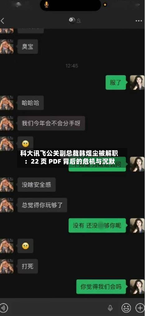 科大讯飞公关副总裁韩煜尘被解职:22 页 PDF 背后的危机与沉默-第2张图片