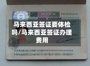 马来西亚签证要体检吗/马来西亚签证办理费用-第3张图片