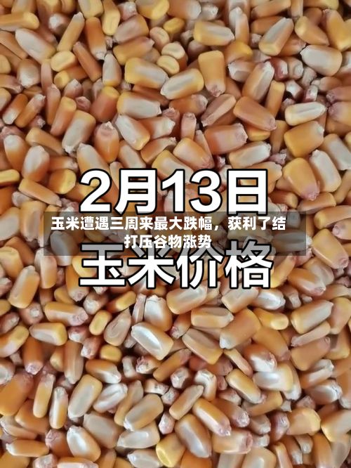 玉米遭遇三周来最大跌幅，获利了结打压谷物涨势-第2张图片