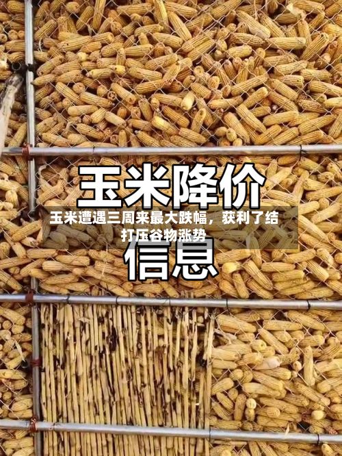 玉米遭遇三周来最大跌幅，获利了结打压谷物涨势-第3张图片