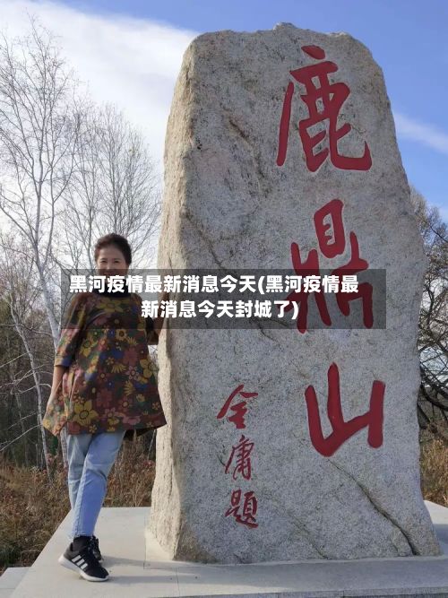 黑河疫情最新消息今天(黑河疫情最新消息今天封城了)-第3张图片