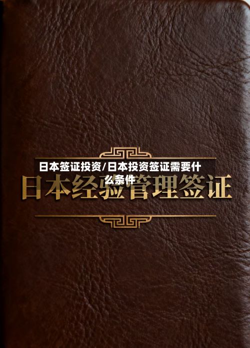 日本签证投资/日本投资签证需要什么条件-第3张图片