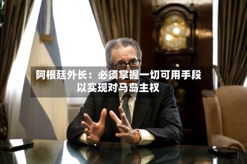 阿根廷外长：必须掌握一切可用手段以实现对马岛主权-第3张图片