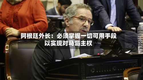 阿根廷外长：必须掌握一切可用手段以实现对马岛主权-第2张图片