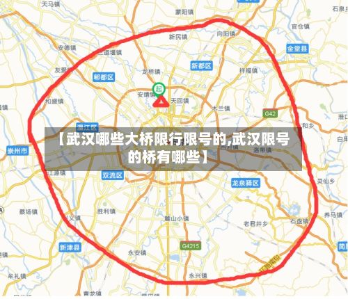 【武汉哪些大桥限行限号的,武汉限号的桥有哪些】-第3张图片