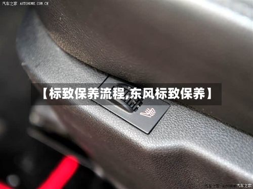 【标致保养流程,东风标致保养】