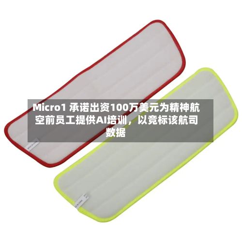 Micro1 承诺出资100万美元为精神航空前员工提供AI培训，以竞标该航司数据-第2张图片