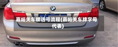 嘉峪关车牌选号流程(嘉峪关车牌字母代表)-第2张图片